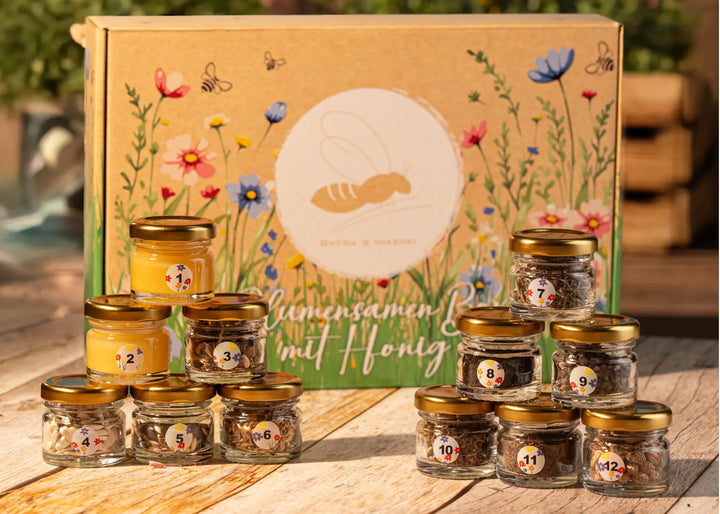 Blumensamen Box für Insekten und Bienen