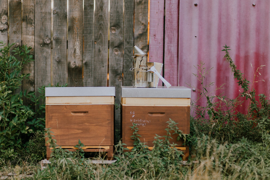 Bienenbeuten von Grega´s Imkerei aus NRW. Holzbienenbeuten sind nicht nur schöner als Kunststoffbeuten, sondern auch Nachhaltiger.