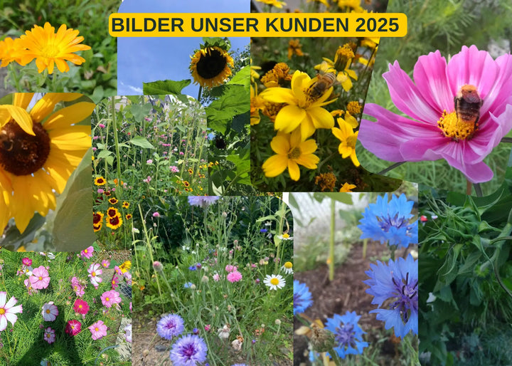 Bilder unserer Kunden 2025