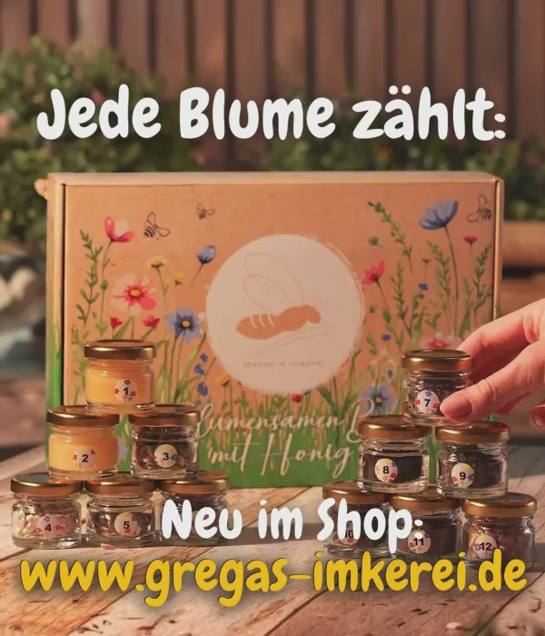 Blumensaat für Insekten, Bienen, Schmetterlinge und Hummeln 